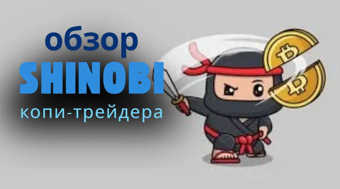 Shinobi под нагрузкой: протокол проверки за 24 часа